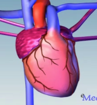 Heart Disease treatment near torrance